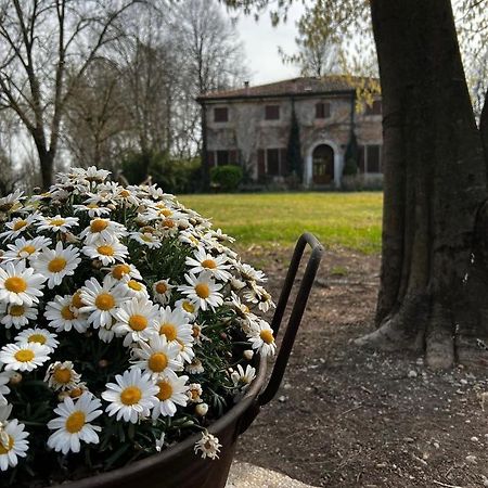 Agriturismo Corte San Girolamo Mantova Exteriör bild