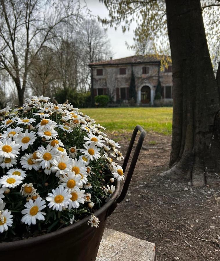 Agriturismo Corte San Girolamo Mantova Exteriör bild