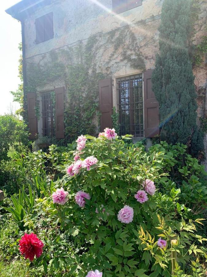Agriturismo Corte San Girolamo Mantova Exteriör bild